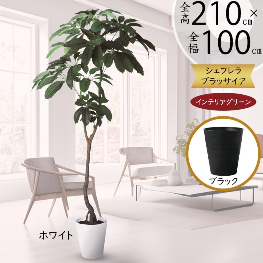 フェイクグリーン カポック(シェフレラ) 神戸花物語 140cm 神戸花物語 フェイクグリーン 大型 オフィス 人工観葉植物