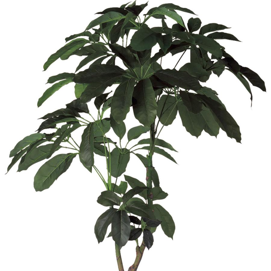 インテリアグリーン 大型 おしゃれ 人気 おすすめ リアル 観葉植物 