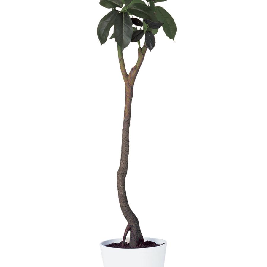 インテリアグリーン 大型 おしゃれ 人気 おすすめ リアル 観葉植物 