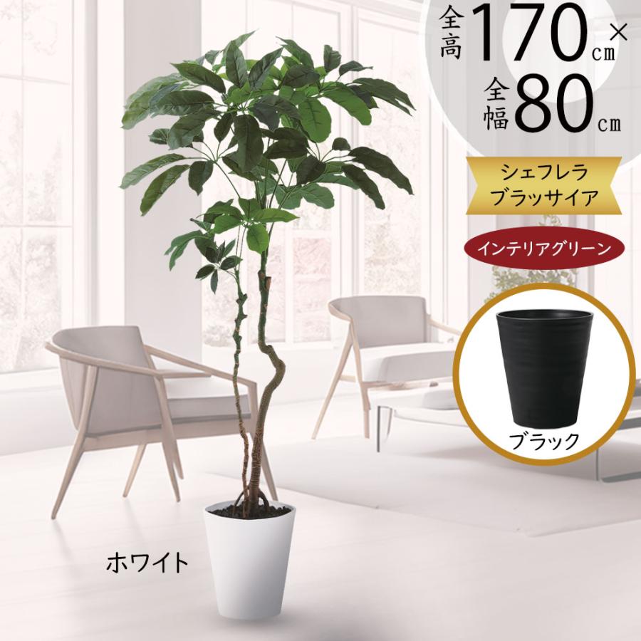 光触媒 人工観葉植物 ウォールグリーン フェイクグリーン ブラッサイア