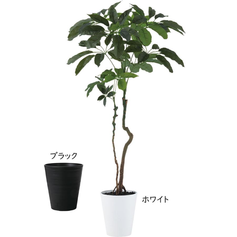 インテリアグリーン 大型 おしゃれ 人気 おすすめ リアル 観葉植物 