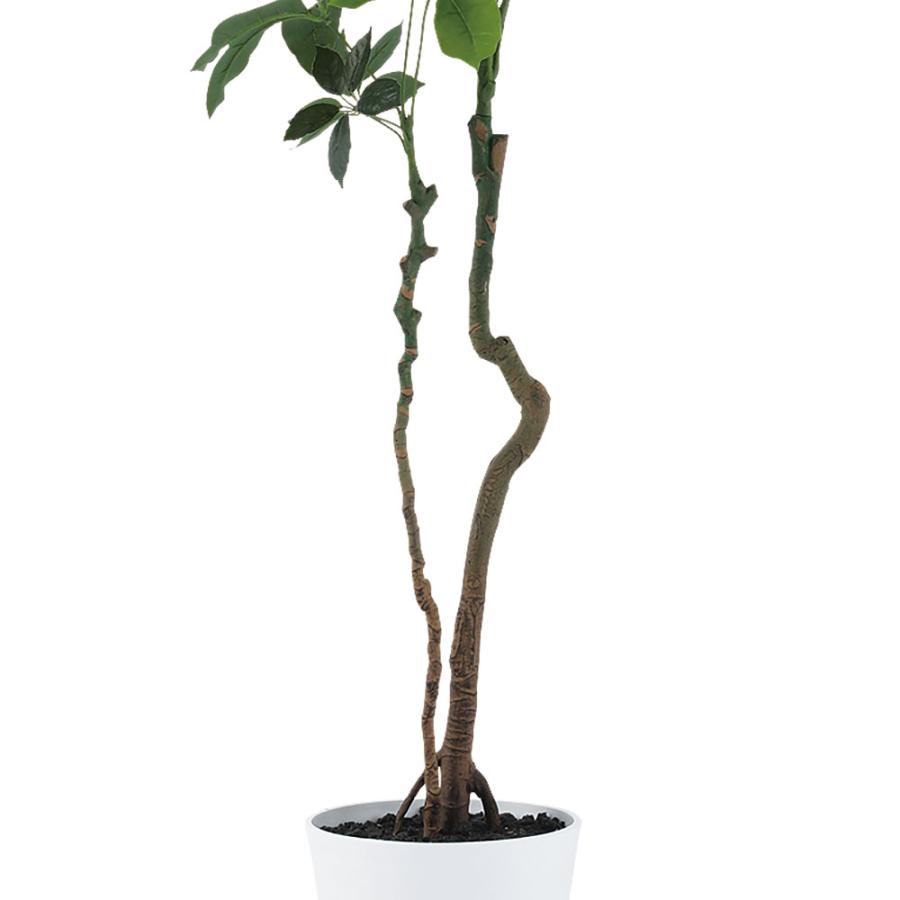 インテリアグリーン 大型 おしゃれ 人気 おすすめ リアル 観葉植物