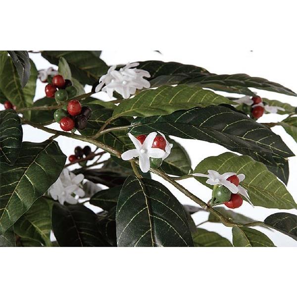 コーヒーの木 大型 全高1 8m 人工観葉植物 実 花付き コーヒーノキ 人工樹木 造花 インテリアグリーン フェイクグリーン tk 人工観葉植物と造花の通販ケイシン 通販 Yahoo ショッピング