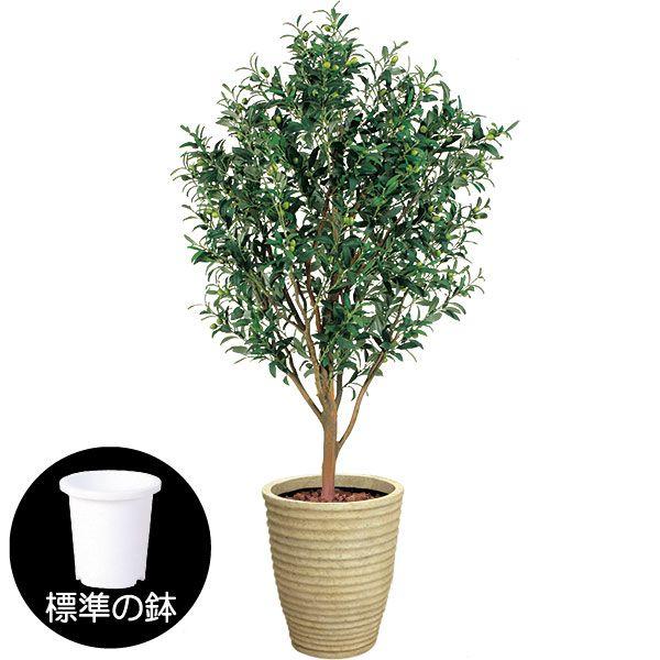 Seal限定商品 オリーブ 人工観葉植物 全高1 5m 実付き オレイフ 人工樹木 造花 インテリアグリーン フェイクグリーン 922tk 人工観葉植物と造花の通販ケイシン 通販 Yahoo ショッピング 送料無料 Www Iccostierovico Edu It