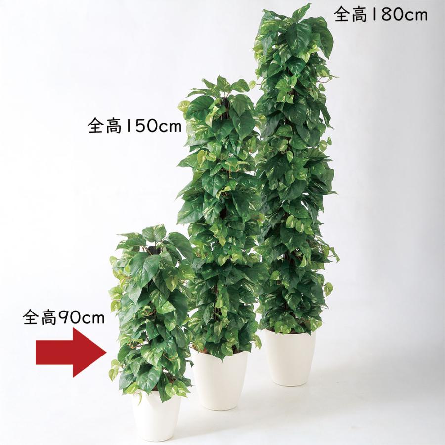 ポトス ヘゴ インテリアグリーン おしゃれ 人気 観葉植物 リアル