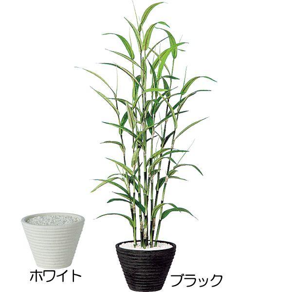 若竹 人工観葉植物 全高80cm 竹 バンブー タケ 笹の葉 人工樹木 造花 インテリアグリーン フェイクグリーン tks 人工観葉植物と造花の通販ケイシン 通販 Yahoo ショッピング