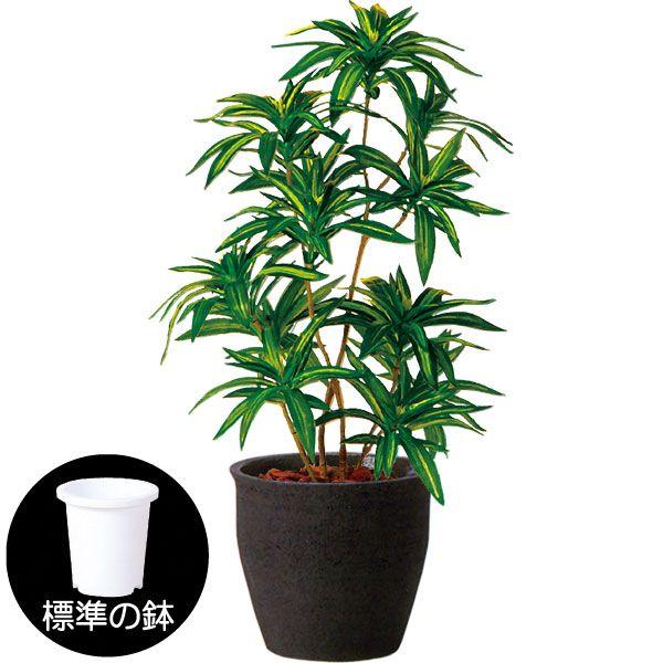 メール便なら送料無料 ドラセナ 人工観葉植物 全高70cm レフレクサ ソング オブ インディア グリーン斑入り 人工樹木 造花 インテリアグリーン フェイクグリーン 915tk 人工観葉植物と造花の通販ケイシン 通販 Yahoo ショッピング 正規激安