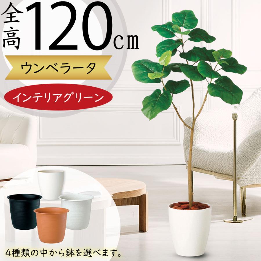 ウンベラータ おしゃれ 観葉植物 インテリアグリーン フェイクグリーン