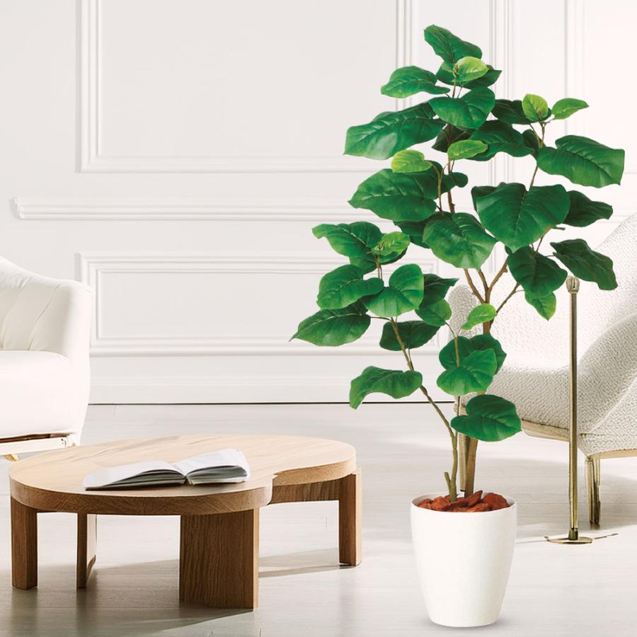 ウンベラータ おしゃれ 観葉植物 インテリアグリーン フェイクグリーン