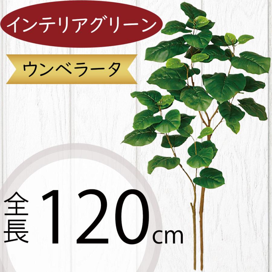 ウンベラータ おしゃれ 人気 観葉植物 インテリアグリーン フェイク