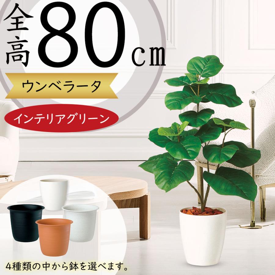 ウンベラータ おしゃれ 観葉植物 インテリアグリーン フェイクグリーン