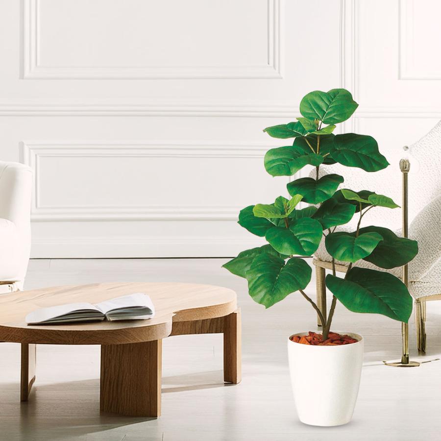 ウンベラータ おしゃれ 観葉植物 インテリアグリーン フェイクグリーン