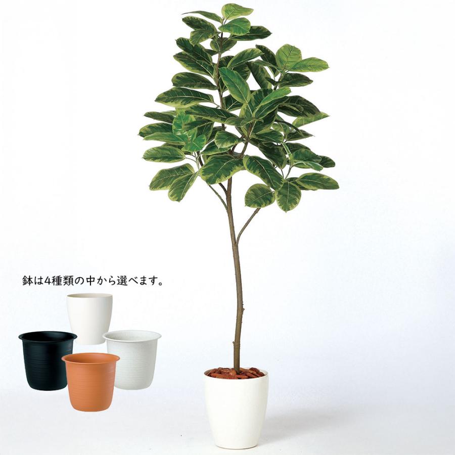 アルテシマ インテリアグリーン 大型 人気 おすすめ リアル フェイク