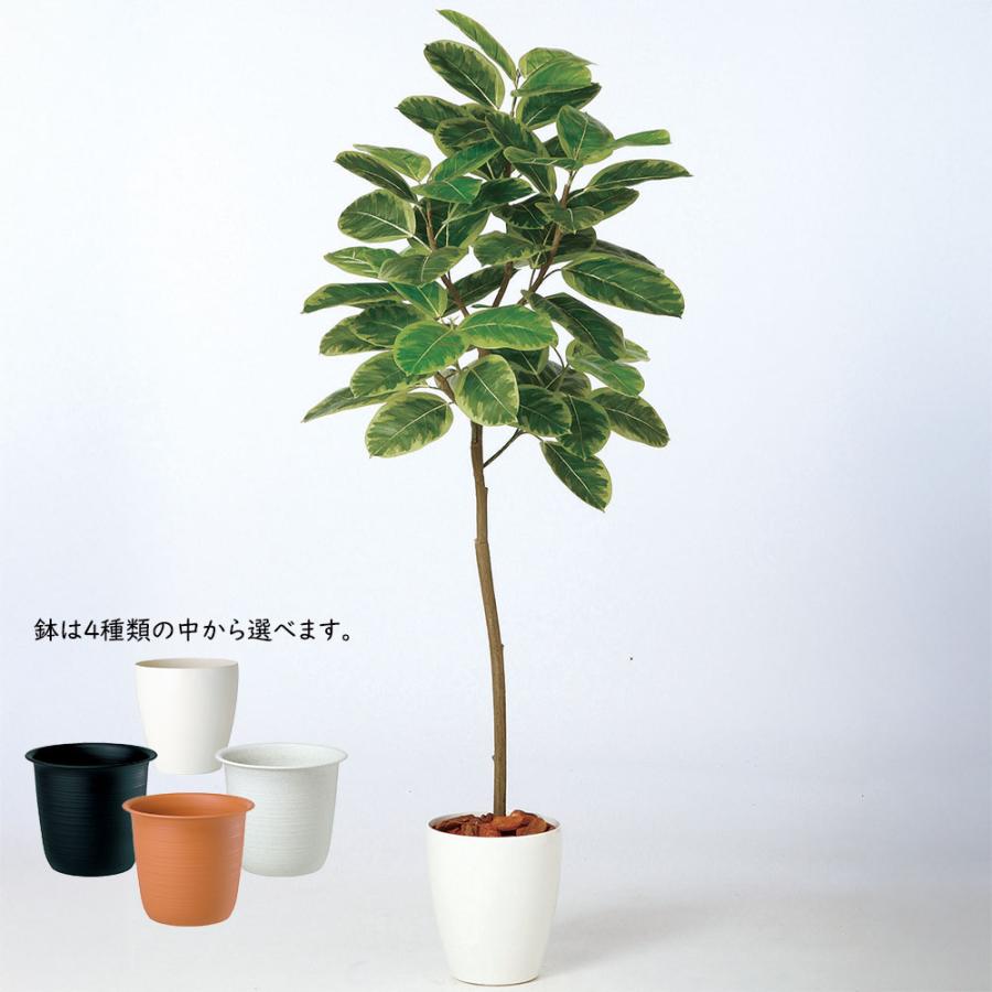 アルテシマ インテリアグリーン おしゃれ フェイクグリーン リアル