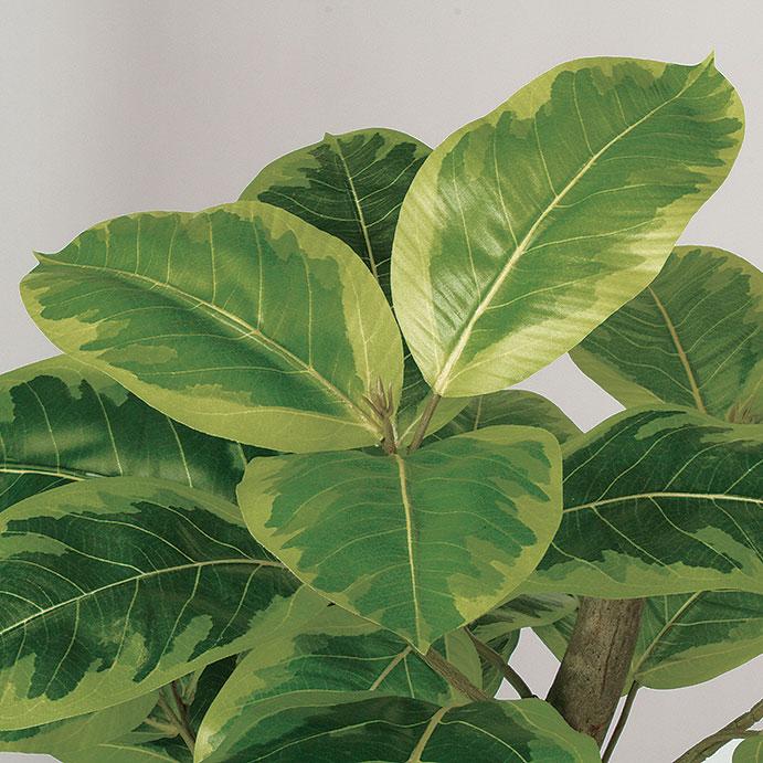 アルテシマ インテリアグリーン 大型 人気 おすすめ リアル フェイク