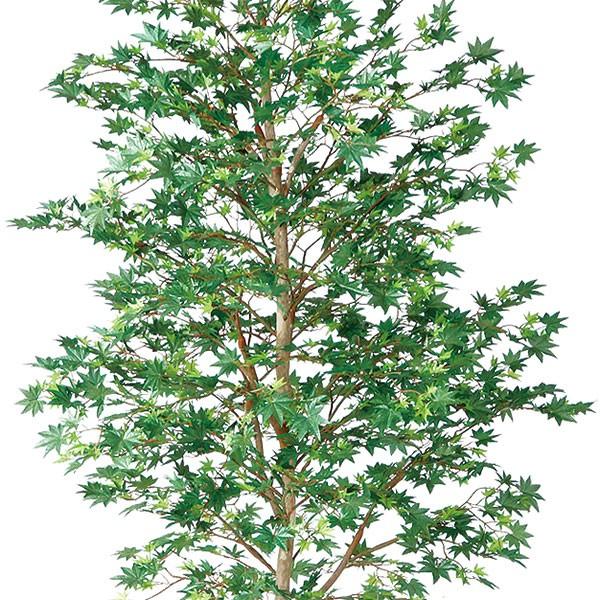 観葉植物 おしゃれ インテリアグリーン 大型 青もみじ モミジ 紅葉 フェイクグリーン 1.8m 8m