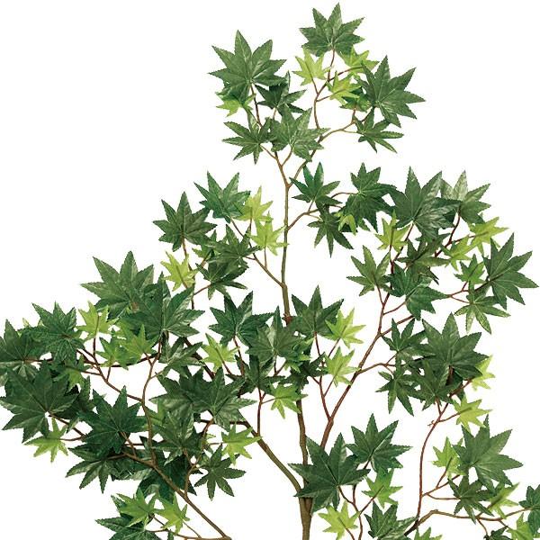 観葉植物 おしゃれ インテリアグリーン 大型 青もみじ モミジ 紅葉 フェイクグリーン 1.8m 8m