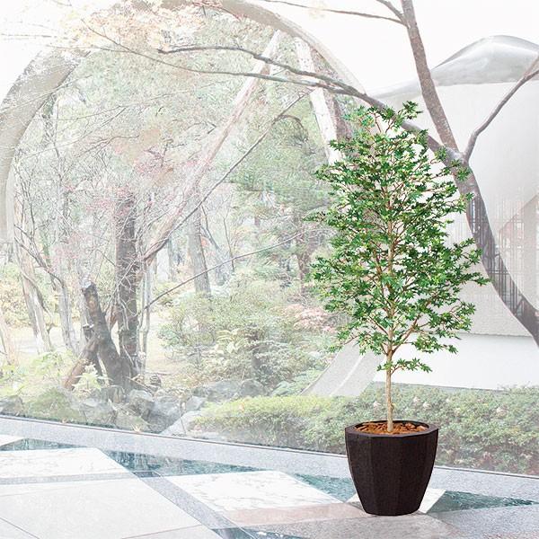 観葉植物 おしゃれ インテリアグリーン 大型 青もみじ モミジ 紅葉 フェイクグリーン 1.8m 8m
