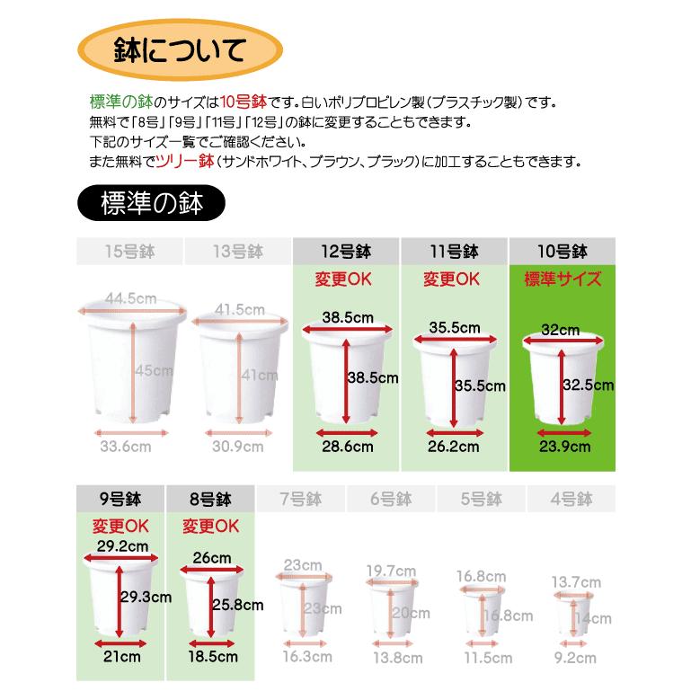 観葉植物 おしゃれ インテリアグリーン 大型 青もみじ モミジ 紅葉 フェイクグリーン 1.8m 8m