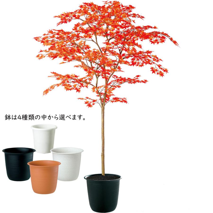 光触媒　人工観葉植物　フェイクグリーン　ヤマモミジ ボウル RED 楽天市場】モミジ もみじ フェイクグリーン 大型 おしゃれ 人気 リアル