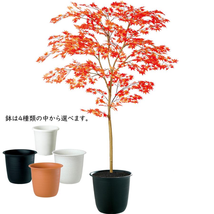もみじ モミジ 紅葉 おしゃれ インテリアグリーン フェイクグリーン
