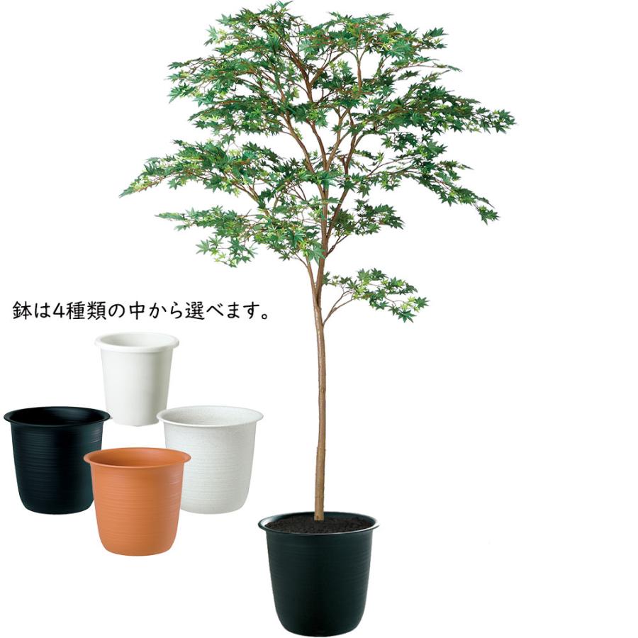 もみじ モミジ 大型 青紅葉 おしゃれ インテリアグリーン フェイク