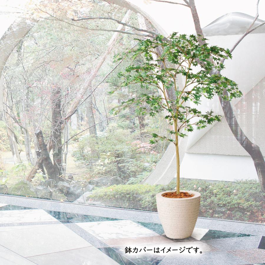 もみじ モミジ 青紅葉 おしゃれ インテリアグリーン フェイクグリーン