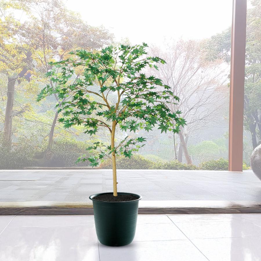 光触媒　人工観葉植物　フェイクグリーン　ヤマモミジ ボウル RED もみじ モミジ 紅葉 おしゃれ インテリアグリーン フェイクグリーン
