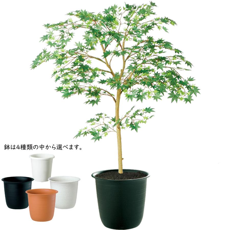 もみじ モミジ 青紅葉 おしゃれ インテリアグリーン フェイクグリーン