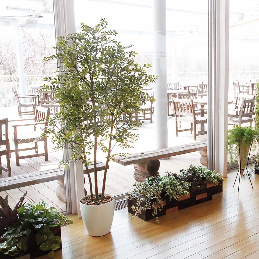 光触媒　人工観葉植物　ウォールグリーン　フェイクグリーン　フラワー　シマトネリコ 光触媒 人工観葉植物 ウォールグリーン フェイクグリーン フラワー