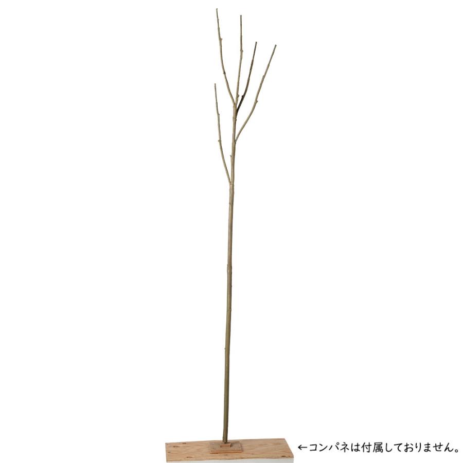 枝物 インテリアグリーン おしゃれ 人気 フェイクグリーン 観葉植物 リアル アートプランツ 造花 木 オブジェ 枝もの 花材 家具 雑貨 大型 アレンジ 装飾 210cmの画像
