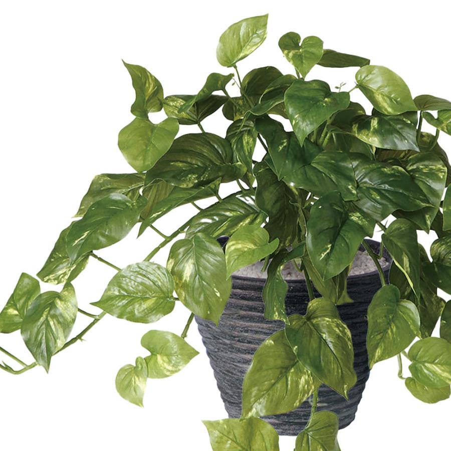 ポトス インテリアグリーン おしゃれ 人気 フェイクグリーン リアル