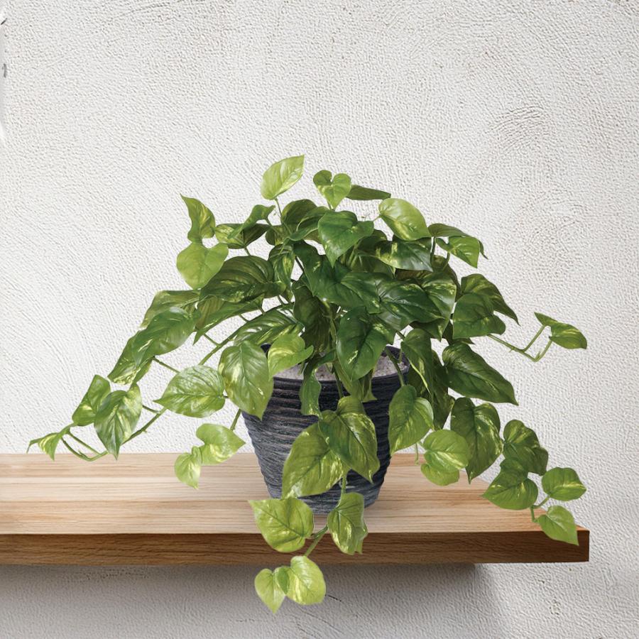 ポトス インテリアグリーン おしゃれ 人気 フェイクグリーン リアル