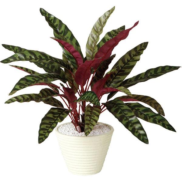 カラテア ランキフォリア 全高40cm 人工観葉植物 人工樹木 造花 インテリアグリーン フェイクグリーン tk 人工観葉植物と造花の通販ケイシン 通販 Yahoo ショッピング