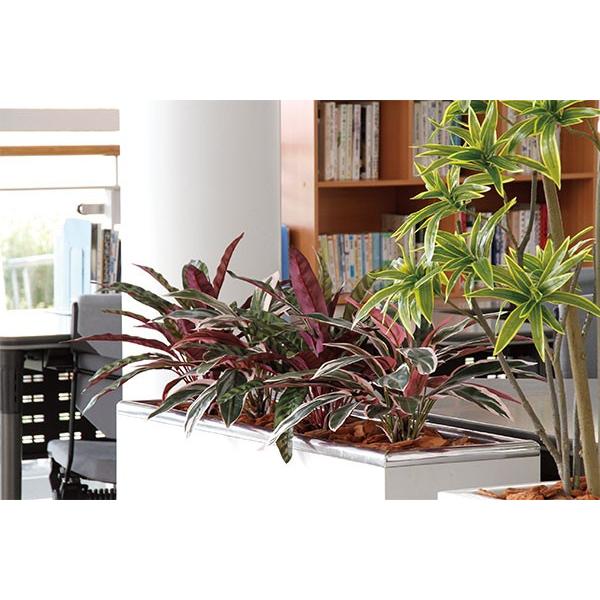 カラテア ランキフォリア 全高40cm 人工観葉植物 人工樹木 造花 インテリアグリーン フェイクグリーン tk 人工観葉植物と造花の通販ケイシン 通販 Yahoo ショッピング