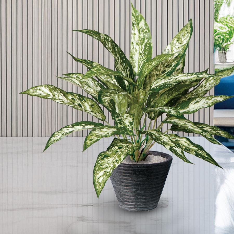 【インテリアグリーン】【多肉植物】【フェイクグリーン】【観葉植物】 Amazon.co.jp: 観葉植物 フェイク多肉植物フェイクグリーン観葉