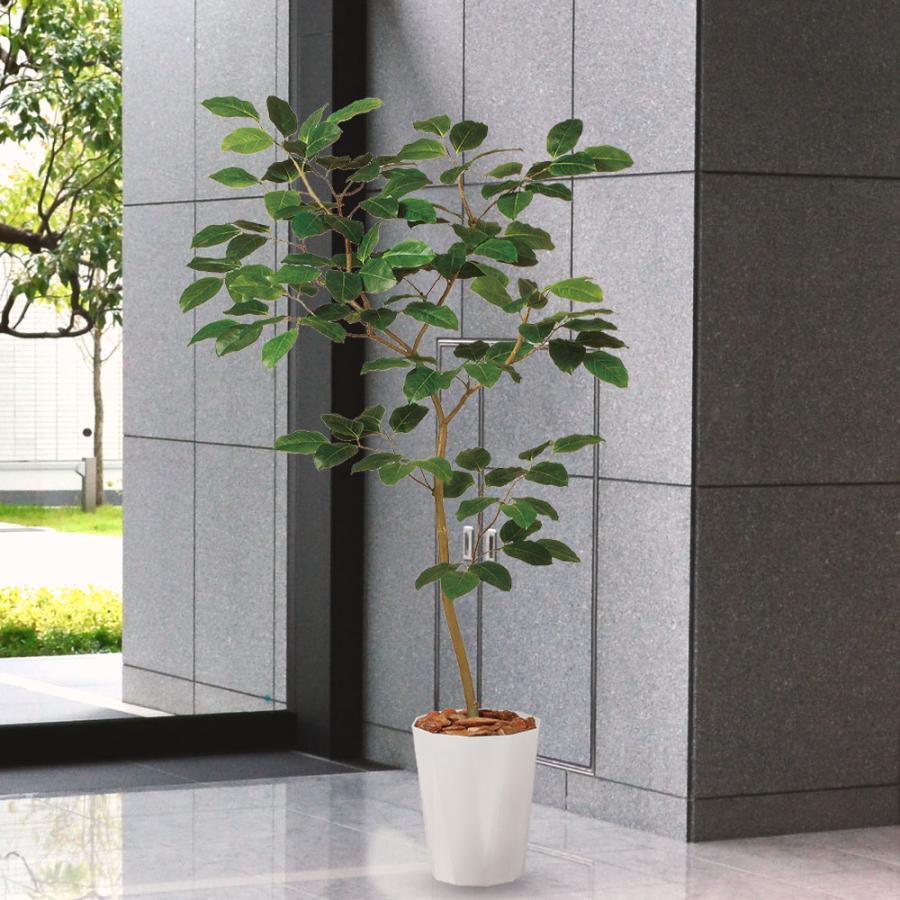 光触媒　人工観葉植物　ウォールグリーン　フェイクグリーン　インドボダイジュFST 光触媒 人工観葉植物 ウォールグリーン フェイクグリーン インド