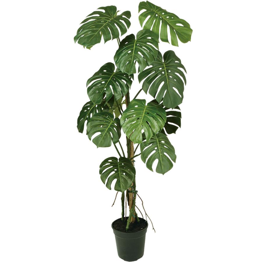 モンステラ おしゃれ 人気 インテリアグリーン 観葉植物 フェイク