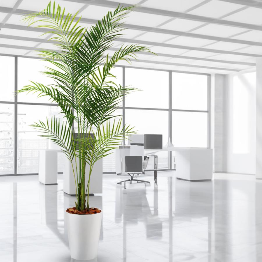 アレカヤシ 観葉植物 大型 人気 おしゃれ インテリアグリーン フェイク