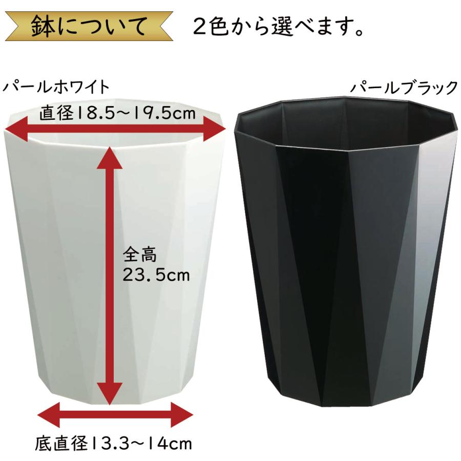 アレカヤシ 観葉植物 人気 おしゃれ インテリアグリーン フェイク 