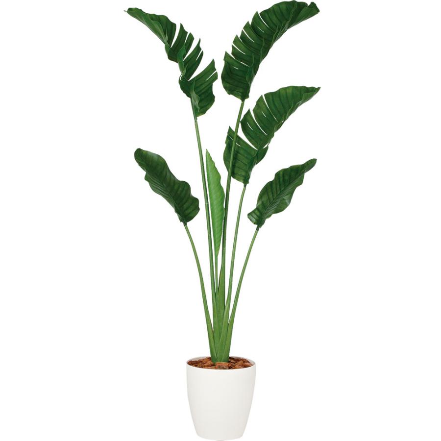 光触媒　人工観葉植物　ウォールグリーン　フェイクグリーン　ストレチアレギア 光触媒 光の楽園 ストレチア 1.1m【インテリア フェイクグリーン 人工