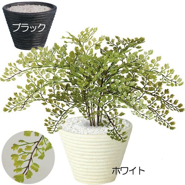 アジアンタム 全高30cm 人工観葉植物(人工樹木 インテリアグリーン 造花 フェイクグリーン） :99188tk:人工観葉植物と造花の通販ケイシン  - 通販 - Yahoo!ショッピング