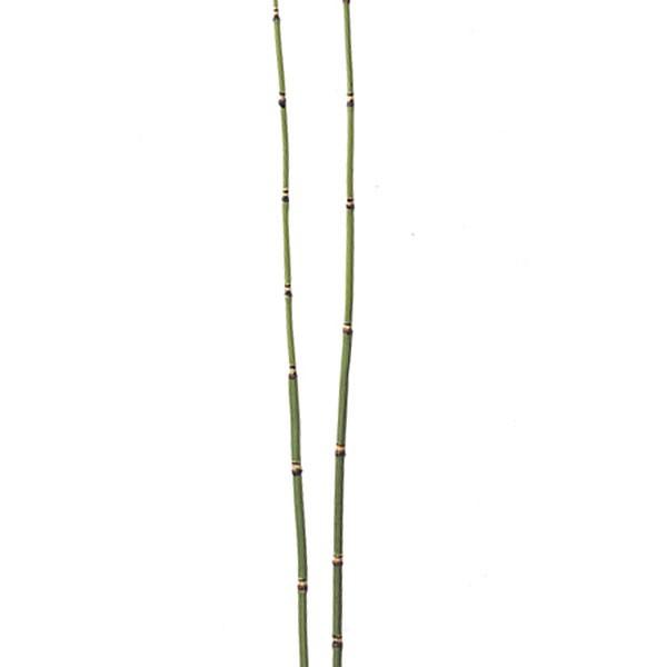 トクサ 木賊 インテリアグリーン おしゃれ 観葉植物 造花 90cm 6本セット｜keishin｜02