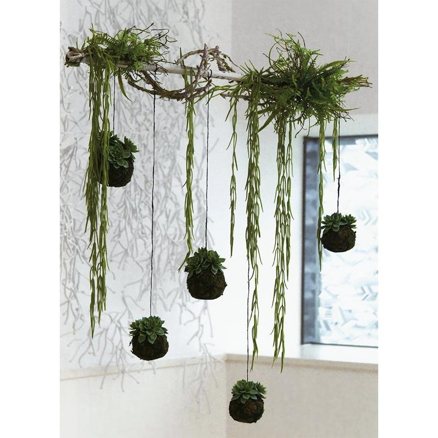 サッカレンテン ハンギング 全長10cm 2個セット 造花 フェイクグリーン インテリアグリーン 人工観葉植物 2186 人工観葉植物と造花の通販ケイシン 通販 Yahoo ショッピング