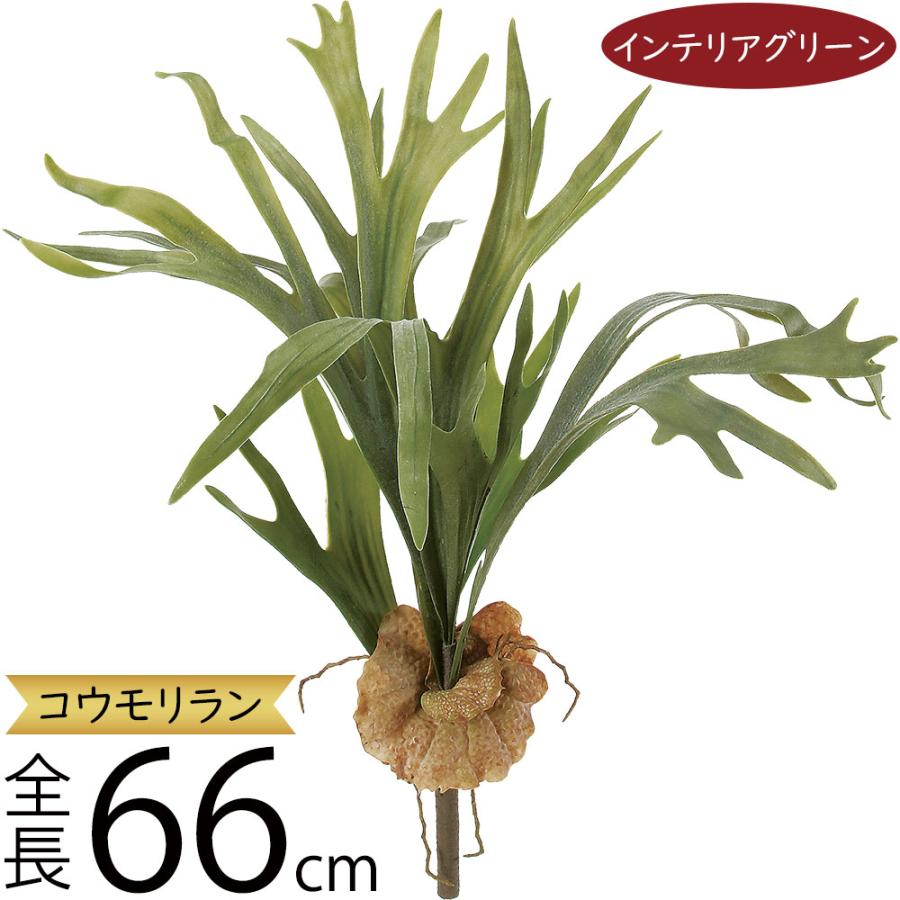 コウモリラン ビカクシダ おしゃれ 人気 フェイクグリーン インテリア