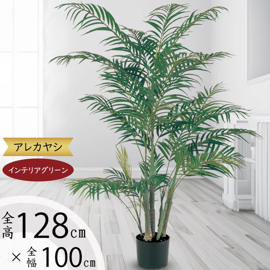 ①　アレカヤシ　9号　特大苗木最高等級極上品‼️ アレカヤシ 観葉植物 大型 人気 おしゃれ インテリアグリーン