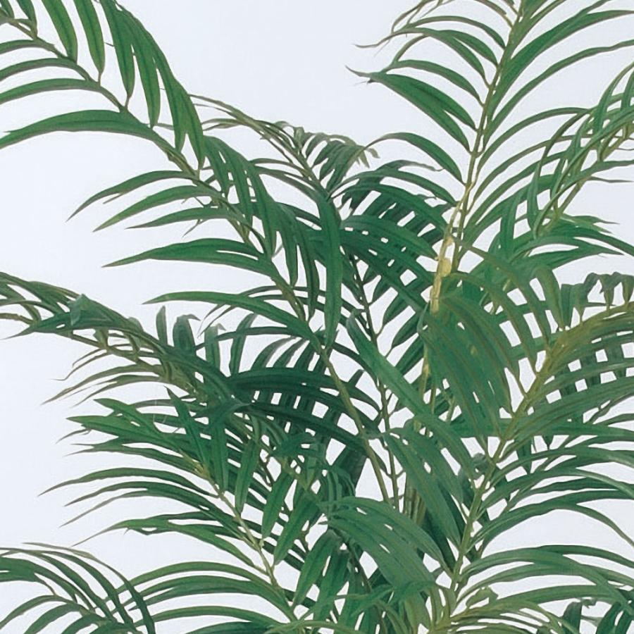 アレカヤシ 観葉植物 人気 おしゃれ インテリアグリーン フェイク