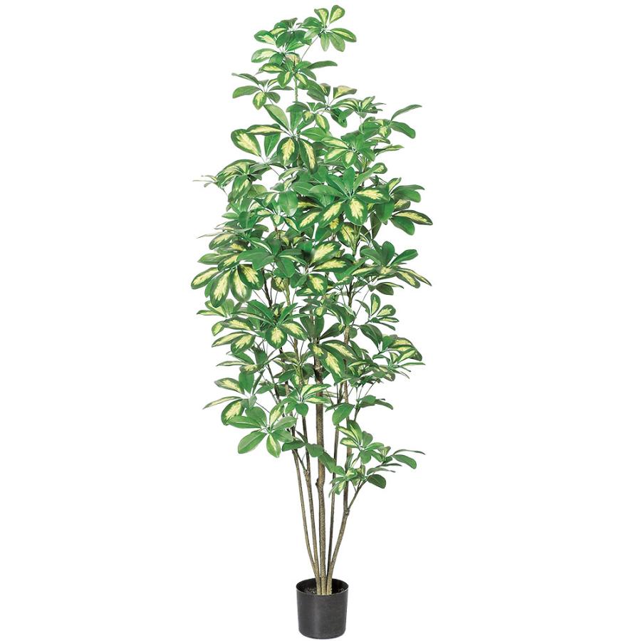 フェイクグリーン カポック(シェフレラ) 神戸花物語 140cm フェイクグリーン 大型 人工 観葉植物 造花 シェフレラ ナチュラル