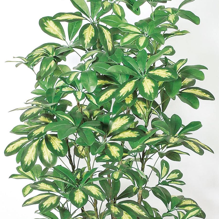 観葉植物 おしゃれ インテリアグリーン フェイクグリーン リアル 人気