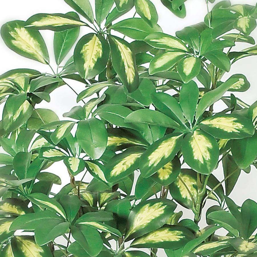 観葉植物 おしゃれ インテリアグリーン フェイクグリーン リアル 人気